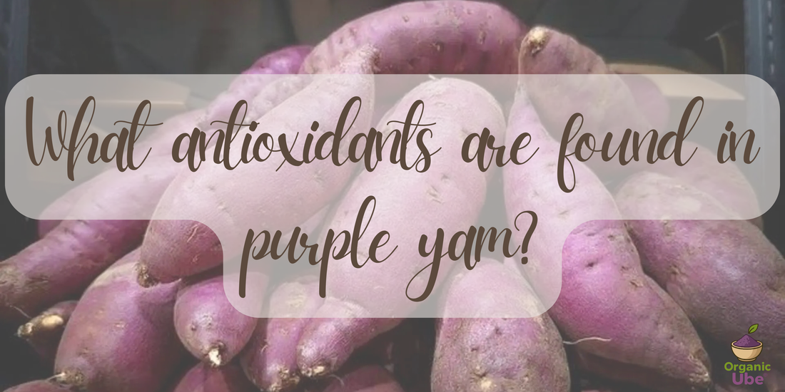 What antioxidants are found in purple yam?