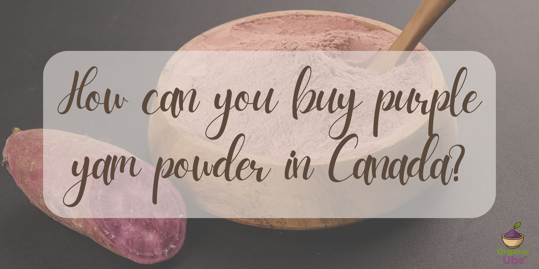 How can you buy purple yam powder in Canada?