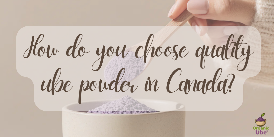 How do you choose quality ube powder in Canada?