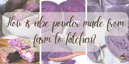 How is ube powder made from farm to kitchen?