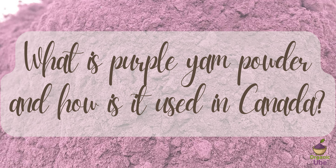 What is purple yam powder and how is it used in Canada?