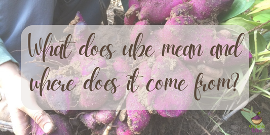 What does ube mean and where does it come from?