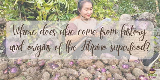 Where does ube come from history and origins of the Filipino superfood?