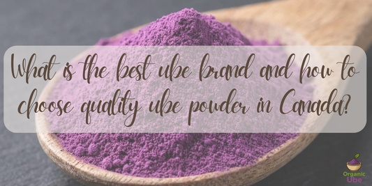 What is the best ube brand and how to choose quality ube powder in Canada?