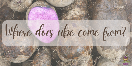 Where does ube come from?