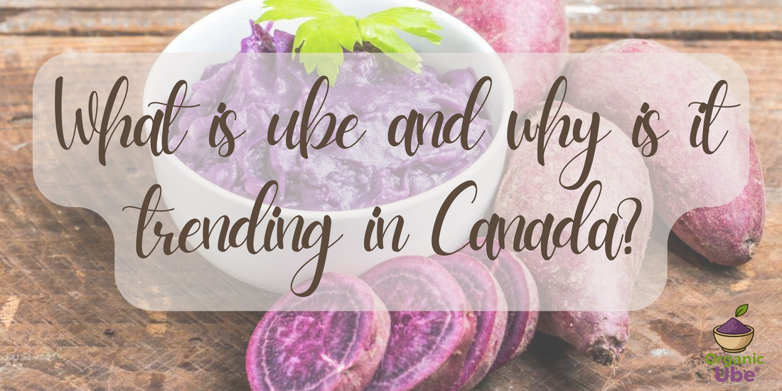 What is ube and why is it trending in Canada?